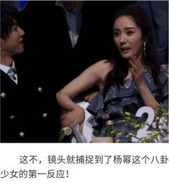 吃瓜娱乐圈八卦精彩片段,揭秘明星幕后秘闻与精彩瞬间  第2张